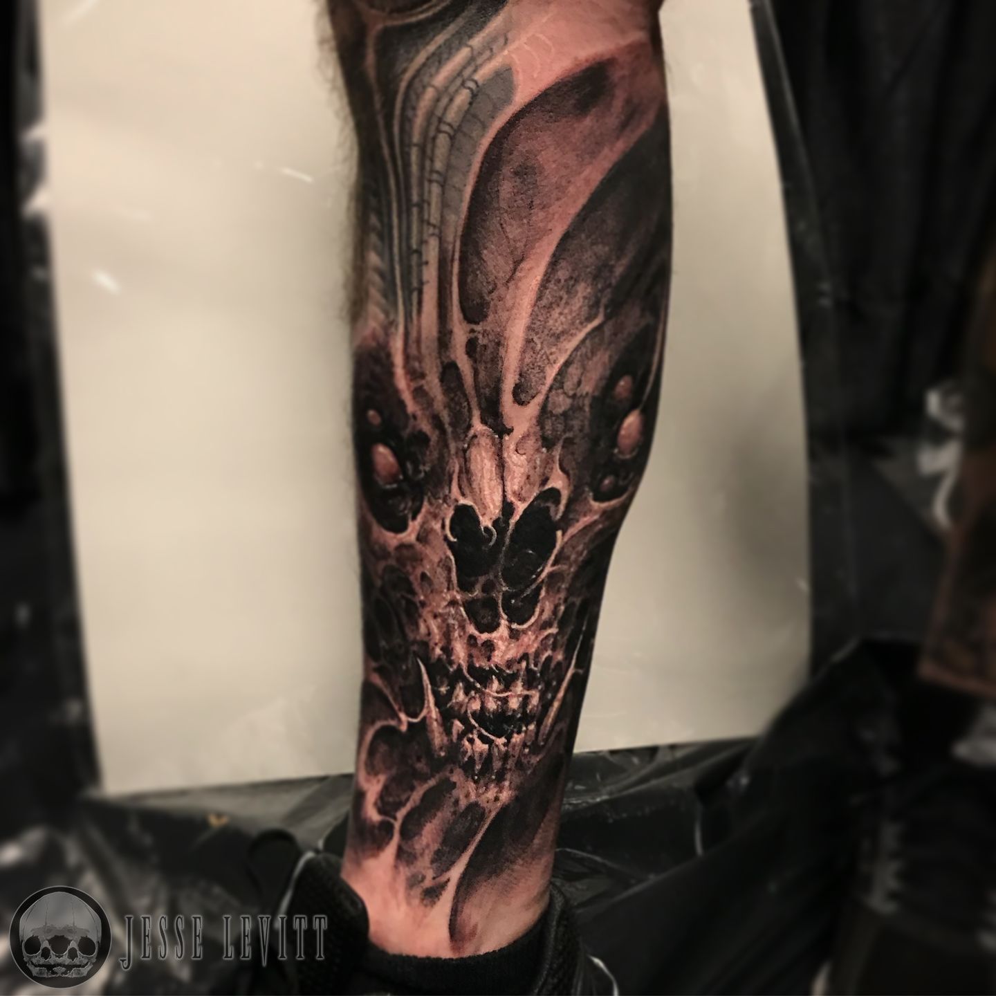 B65d3bb4-c887-43b7-9daa-b3ac07af47e6