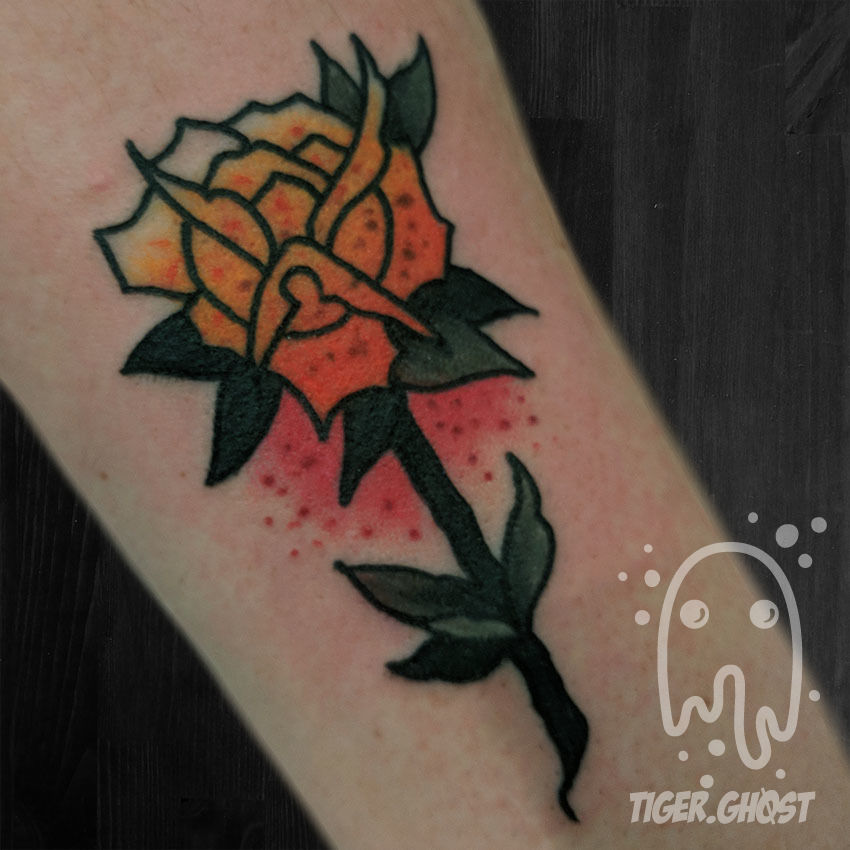 Rose_5-18_full_without