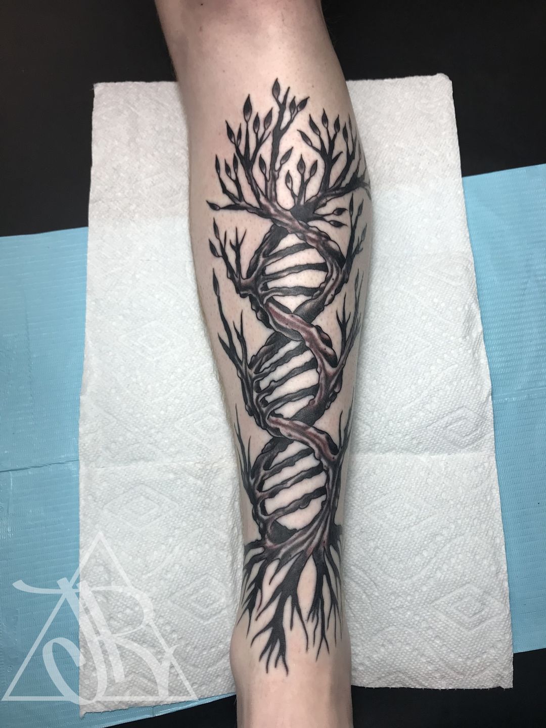 3c2b3204-c585-4e40-bce9-54b587aad468