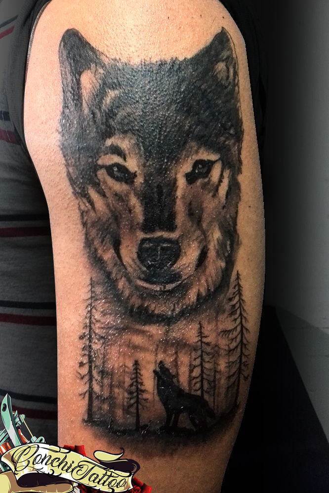 Lobo2