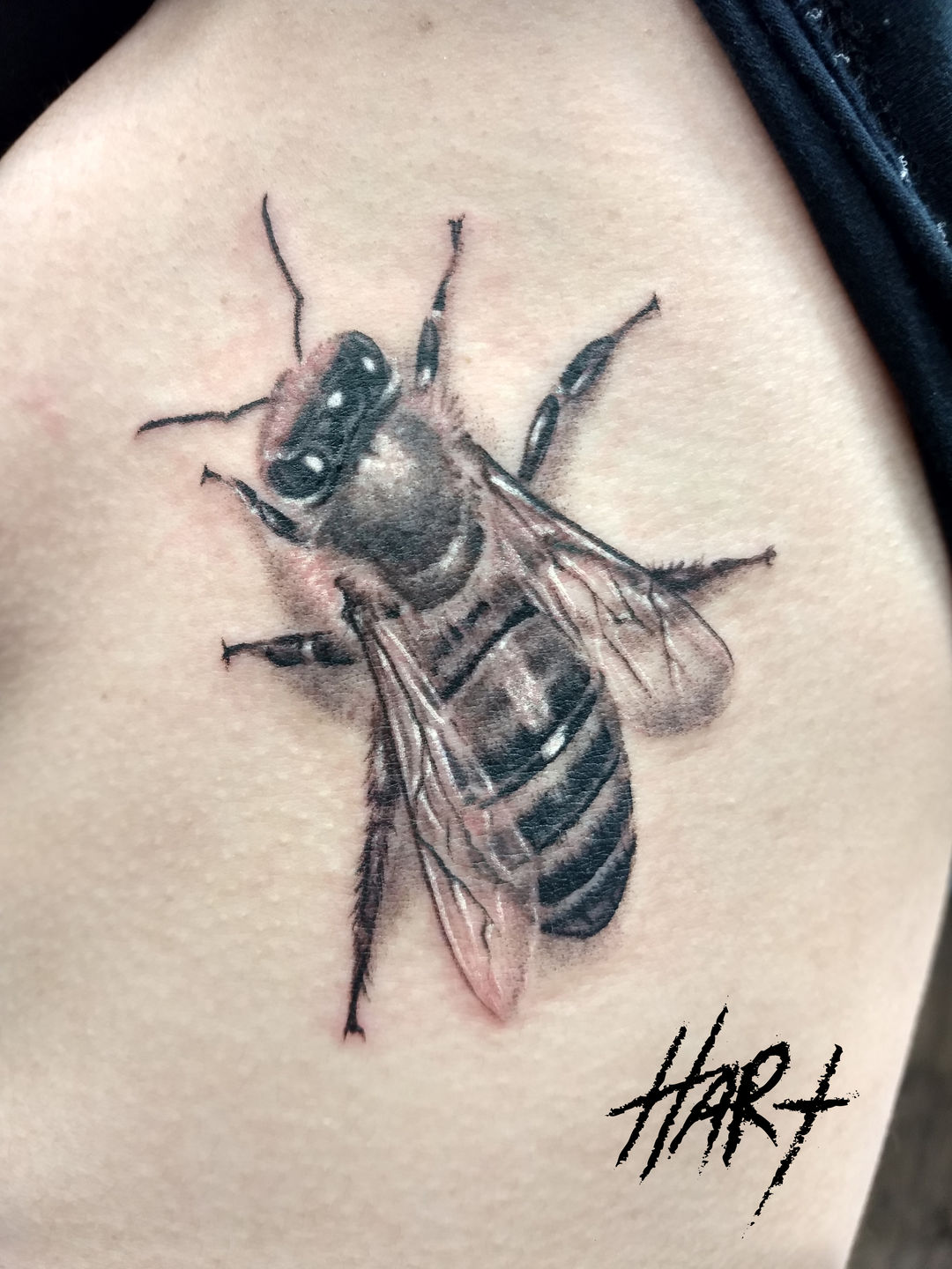 Img_20181012_205729838_hdr