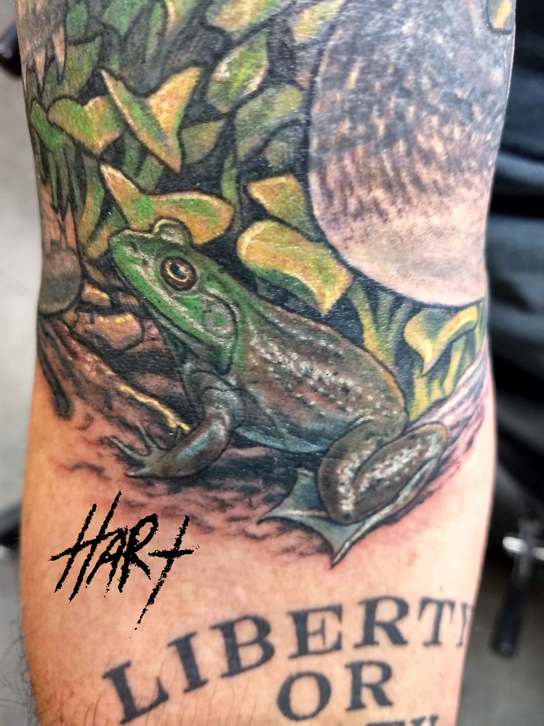 Img_20181013_211938081_hdr