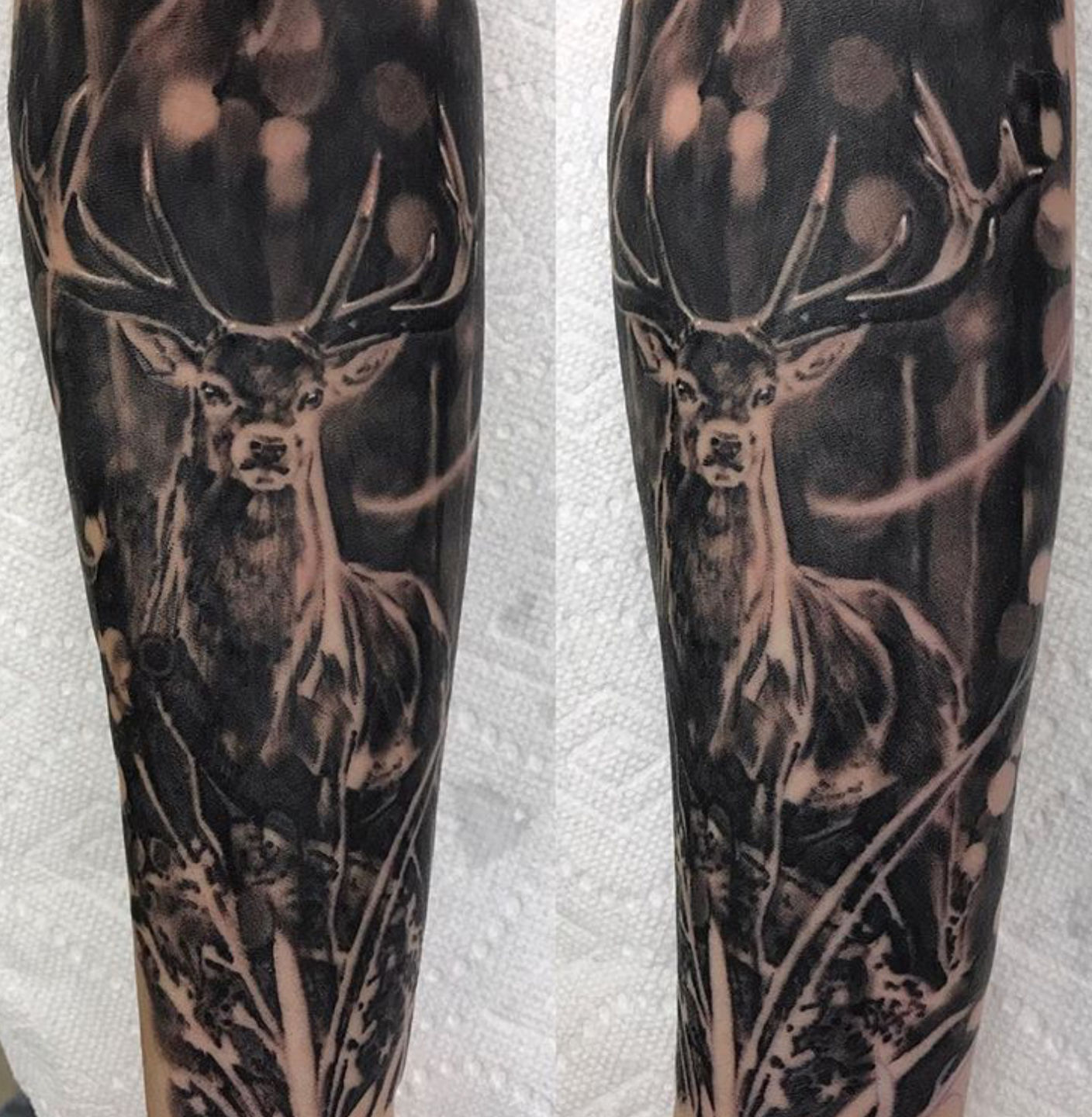 303de2cc-8e5b-4c07-8d0f-c6b072aa1ef4