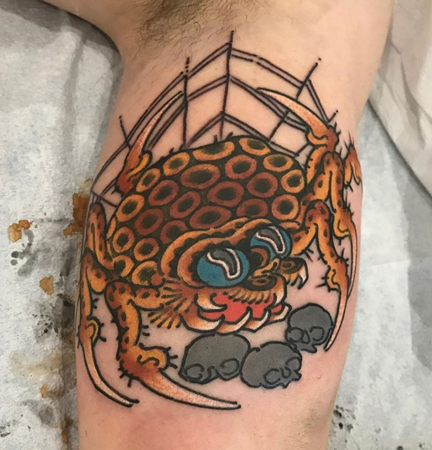 91d1a2d3-3c3d-4c31-9a33-7bc2ceb3a40e