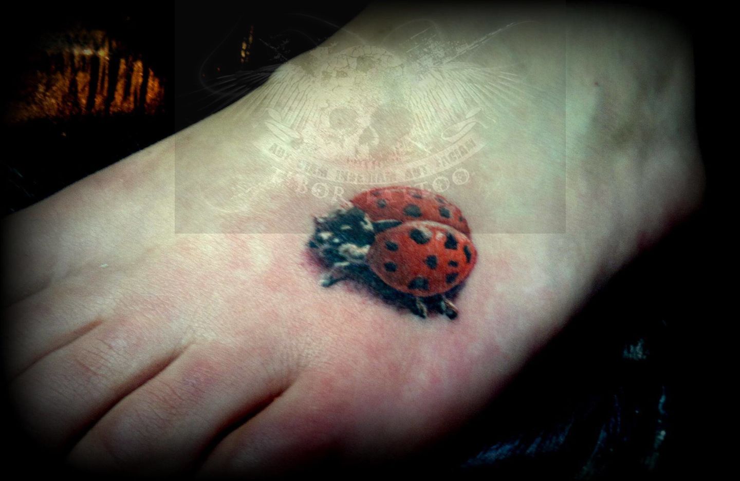 12640295_992575560788295_2211414858213663221_o