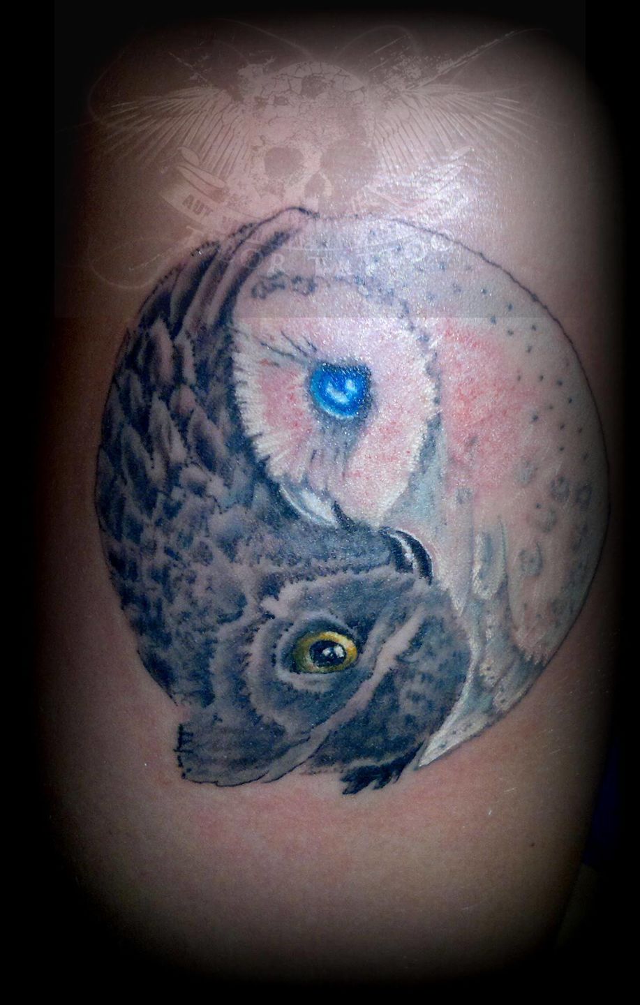 12525440_992575650788286_6471474809486110453_o