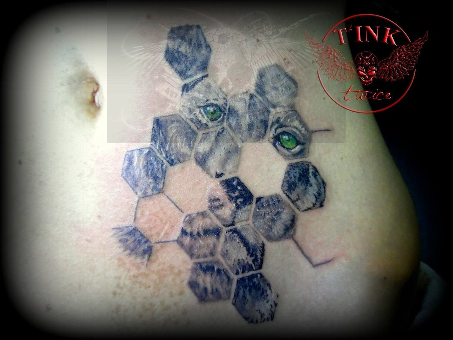 17636792_10156005510418012_2653664580566758846_o