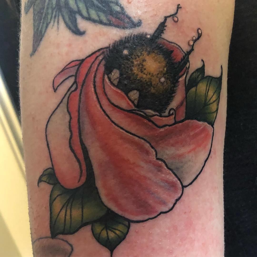 41727111_673715729679375_2115011822636498944_o