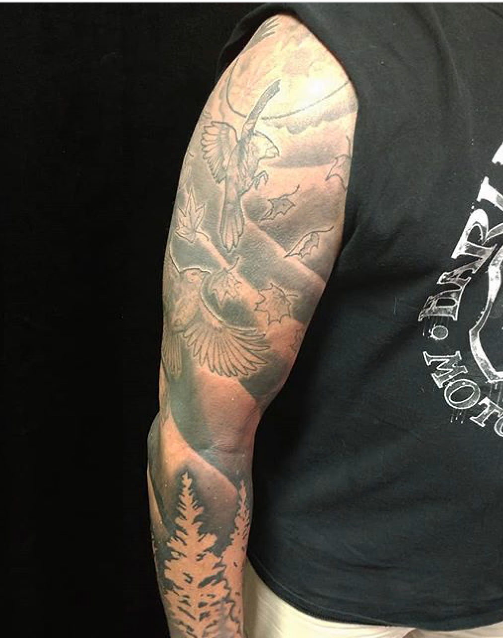 Ecadd7dd-a37c-4f7d-a4f0-cc1863ee2303