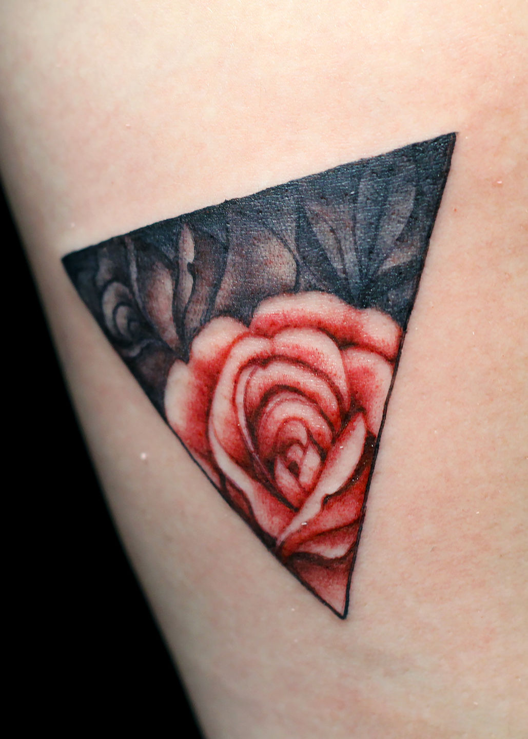 Pete_triangle_rose