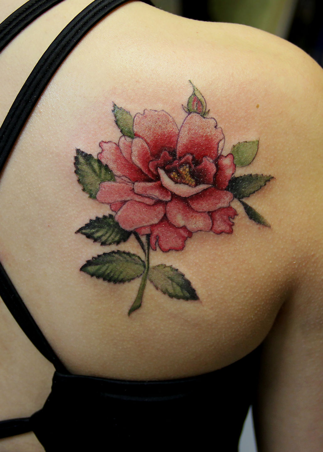 Pete_shoulder_rose