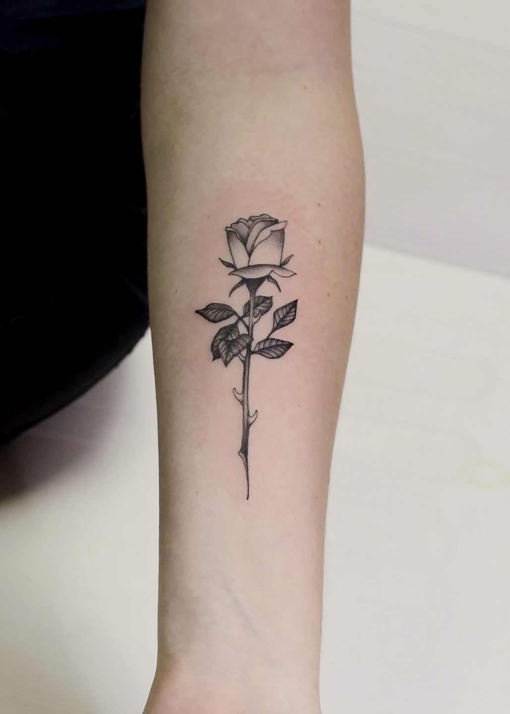 Pete_bg_longstem_rose