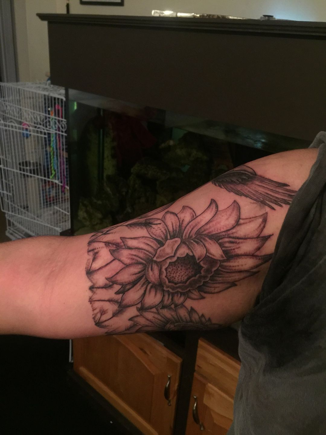 1c8d9542-cc69-4e51-90d7-d44140dc1169