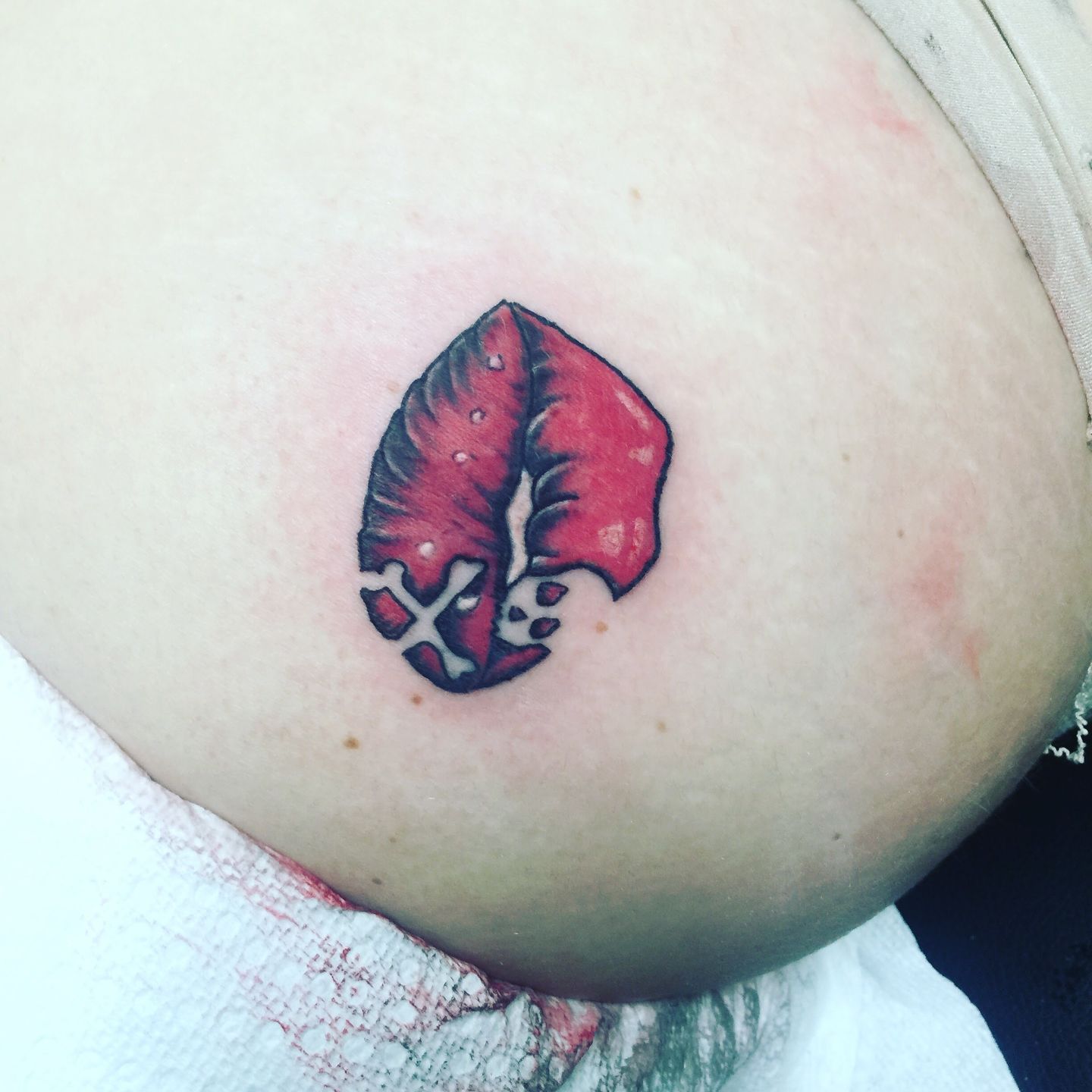 9612336d-d546-4101-b9cf-06a13bb28953