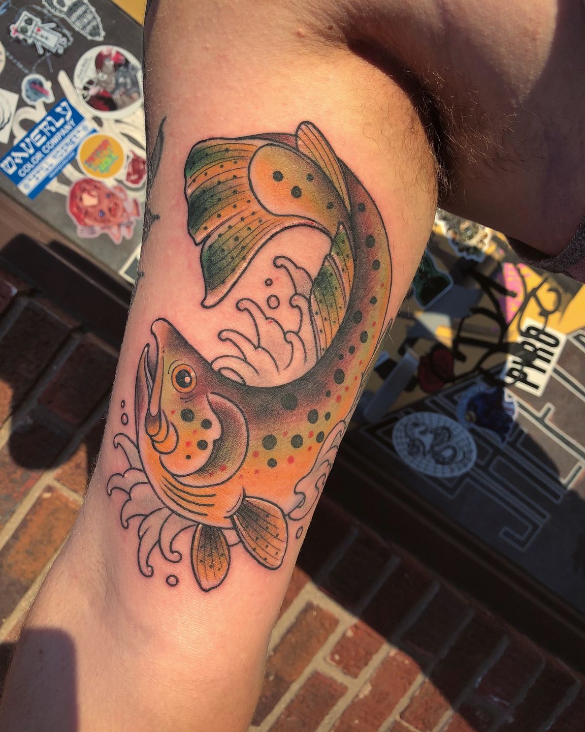 11c5fa2e-1de8-4fac-a370-314f66428dd2