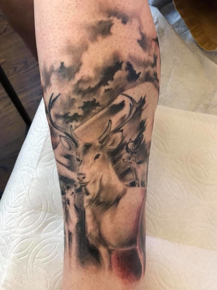 51090869_2279858538964739_8406603466293641216_n