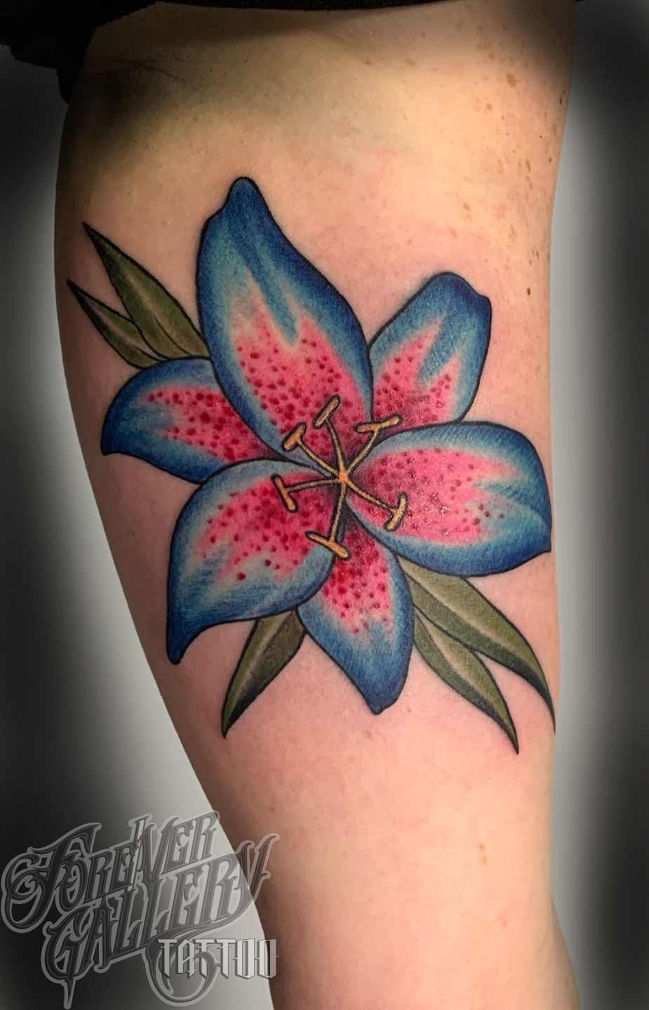 5fef9b3a-bc4b-4335-aba4-c2afeeebe7ec