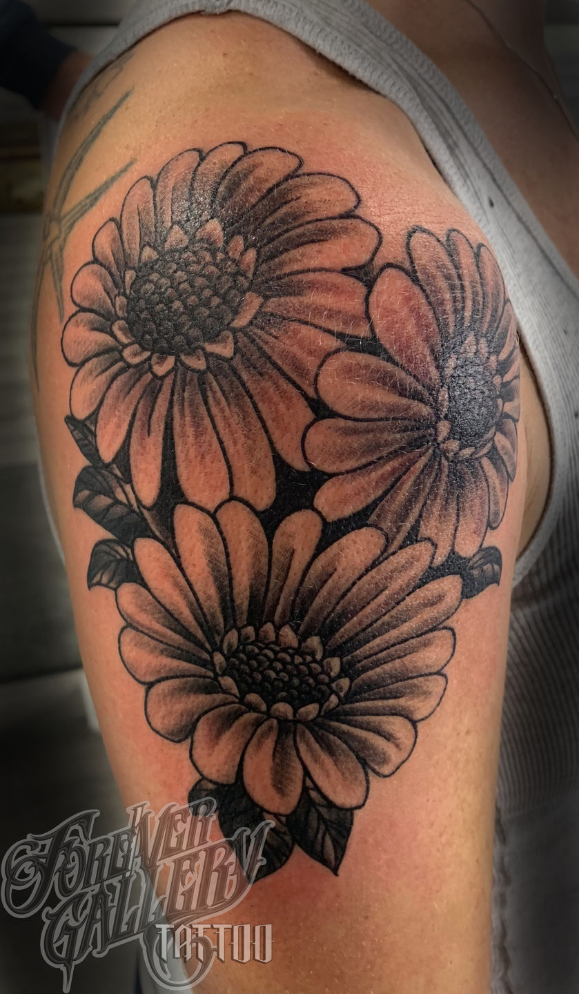 6366d7e2-6ae8-434e-bf78-455e60fd5ec5