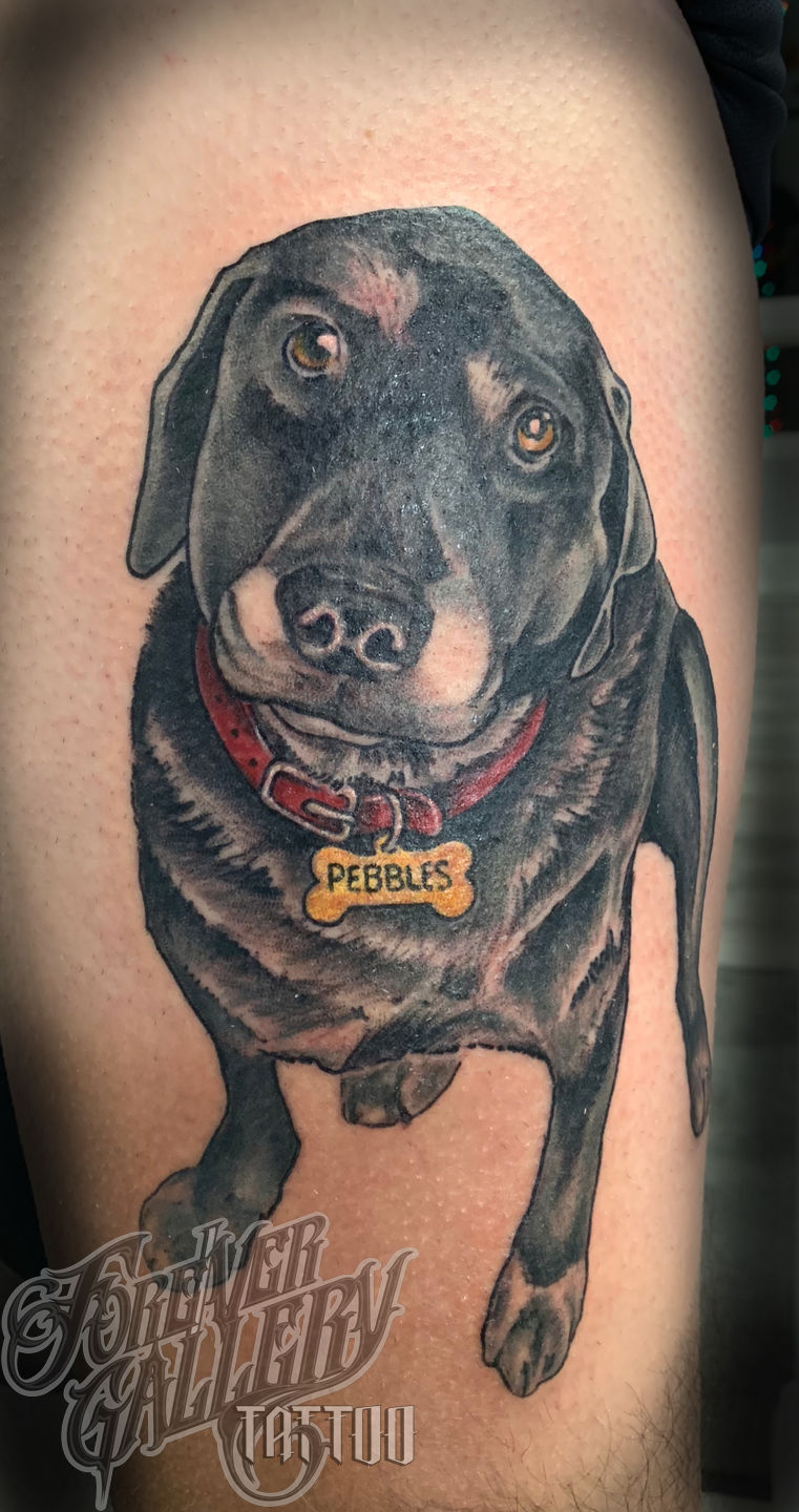 A8a0a435-4f53-4c7a-913f-40e33e9dd997