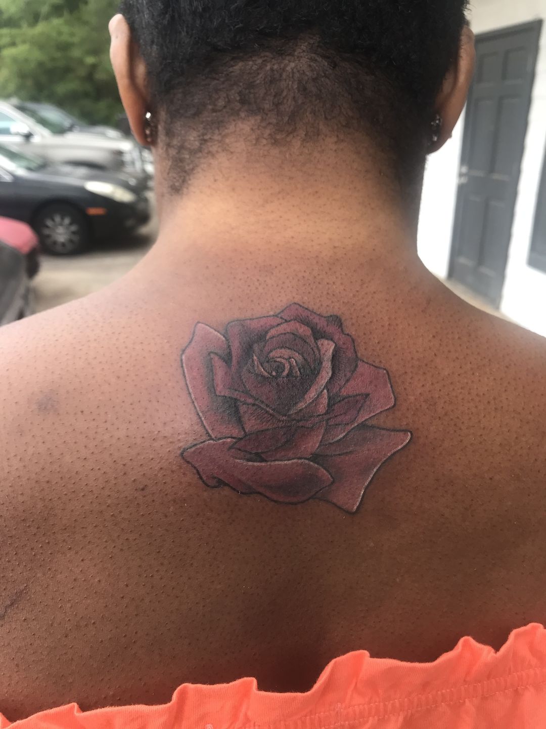 37d95316-e937-4818-ab10-7c7b20294708