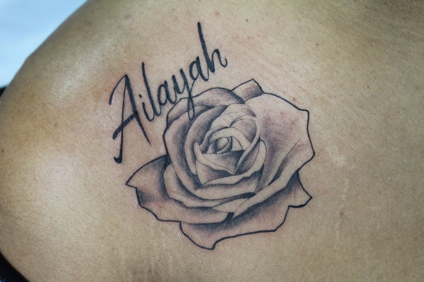 77a706f2-8034-47c5-961e-6b214130dec4