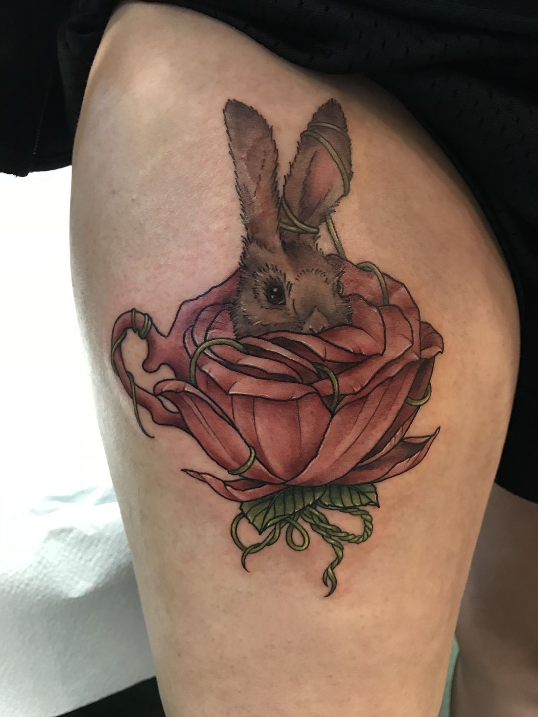 Ae9a574a-24ff-4592-959e-534b6a09493b