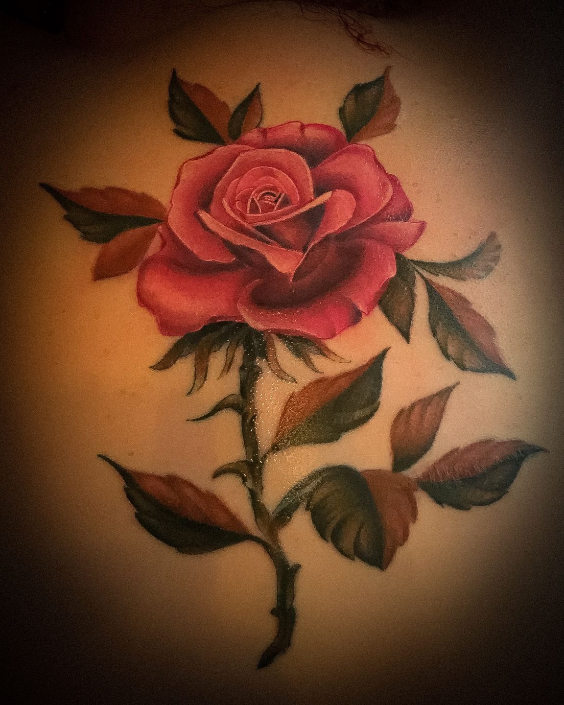 3736f20c-e4b8-481d-9568-90a1d4c4bb23