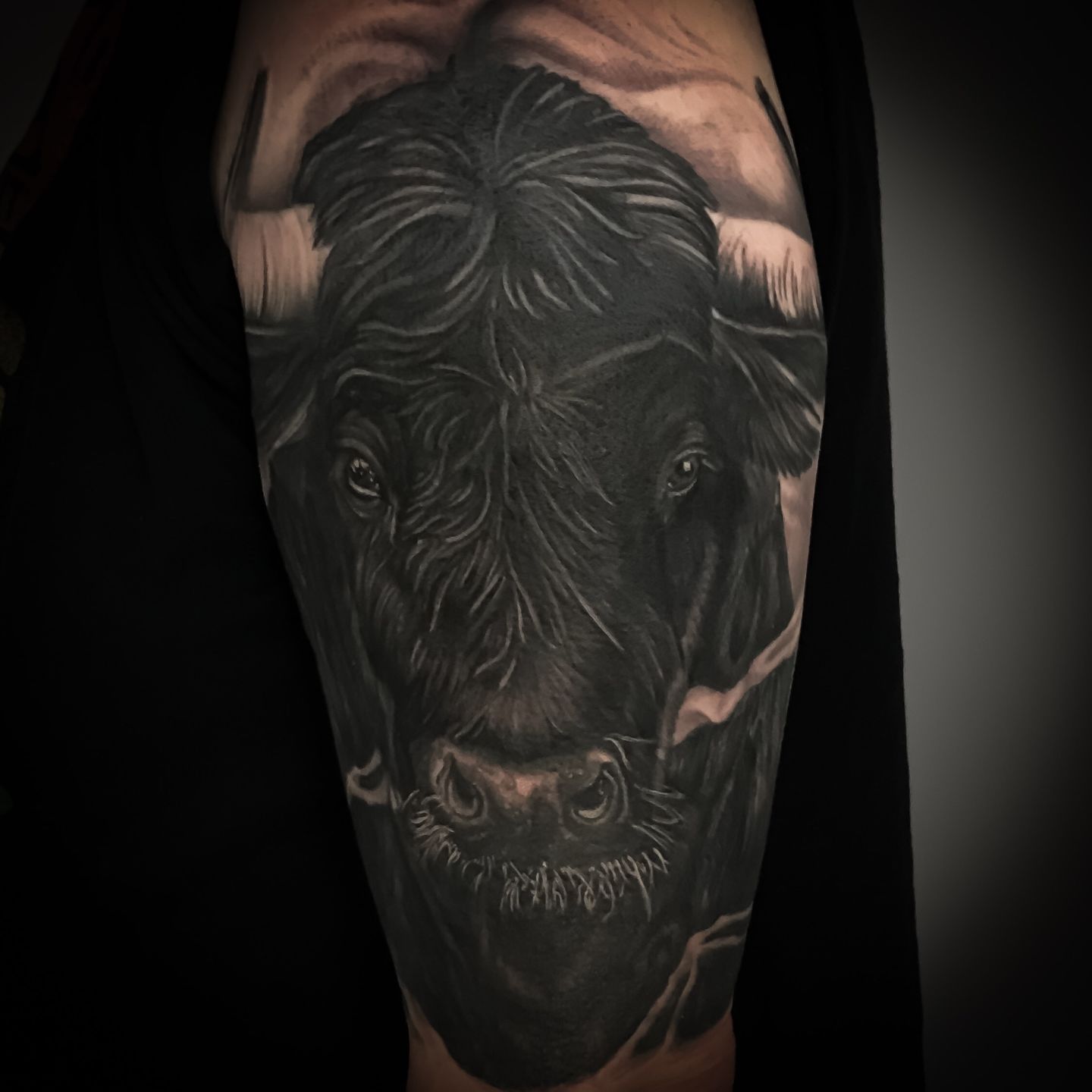 790c54c0-7bd8-4ab0-a46f-5aaefd6c4f10