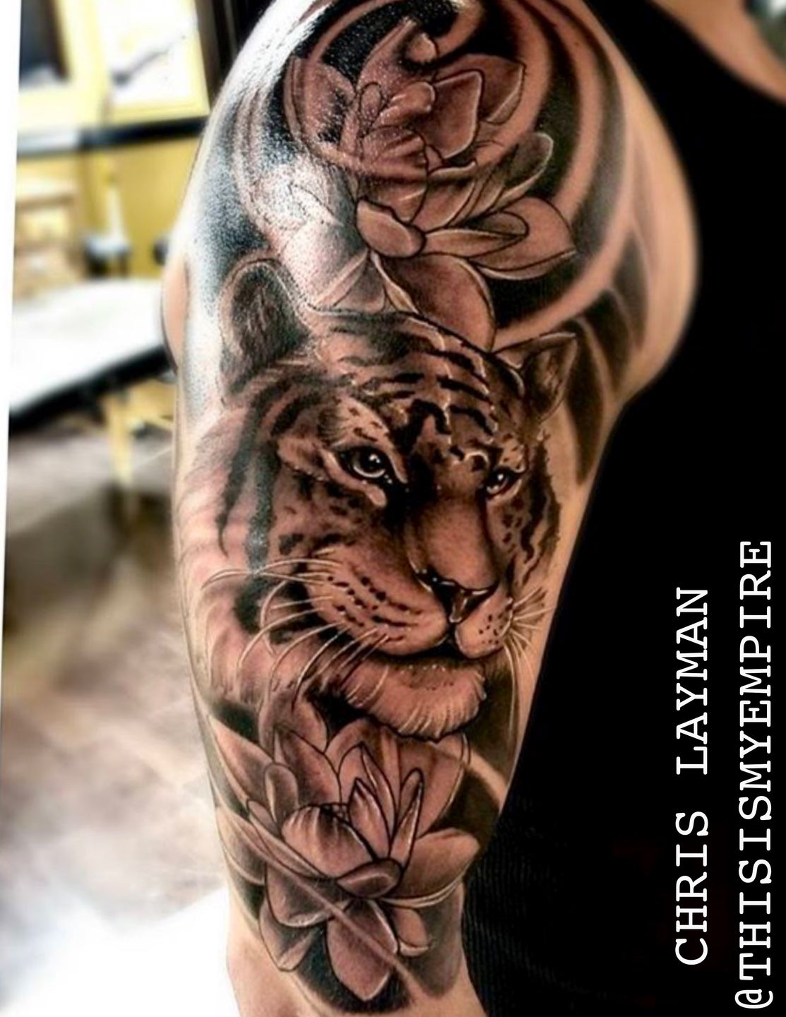 1dc08f63-ce9e-49bd-9ef6-d2992d54c255