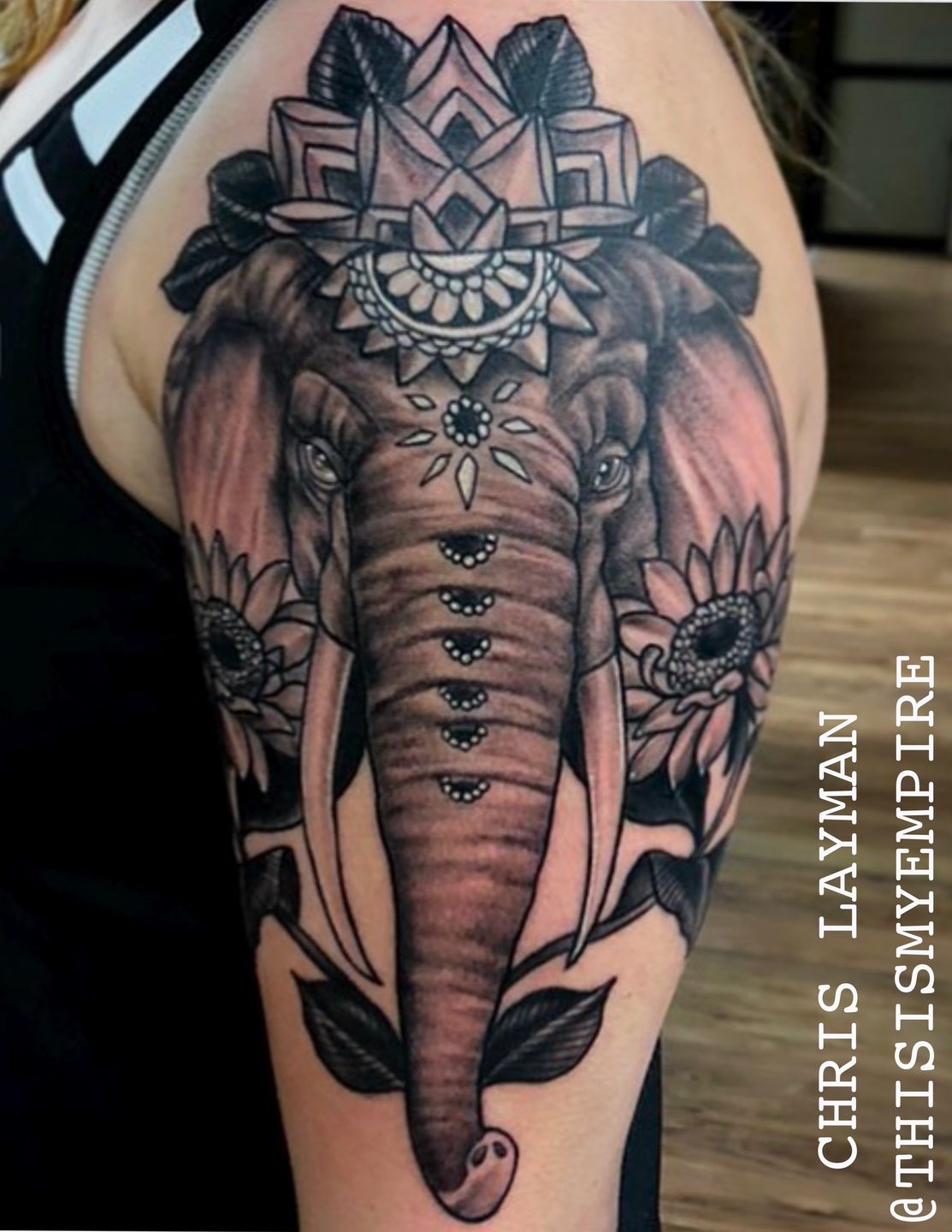 957ce50b-6735-4e73-a632-54d3680485f8