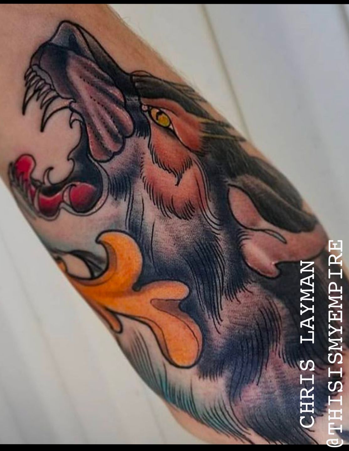 47520c89-8c9d-4807-b604-36d1585d9364