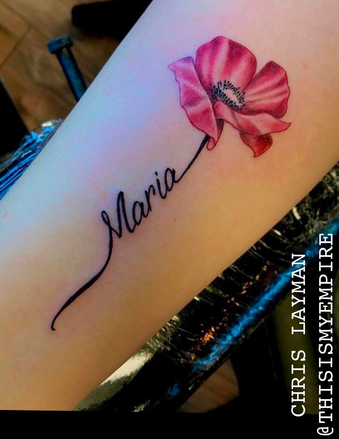 6fbadd27-ab37-4cc6-af1b-1ae014ba1a5e