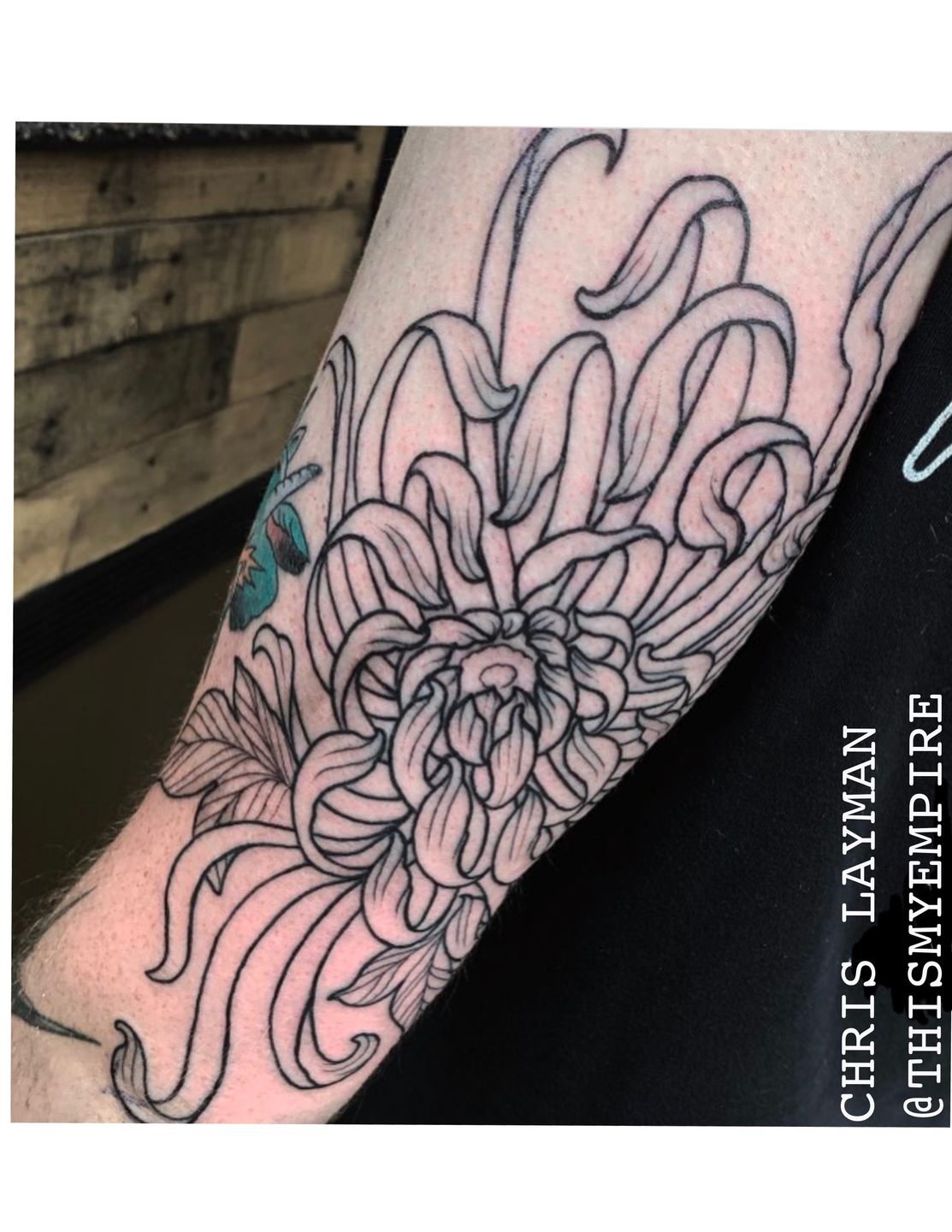 C4051ac7-01a3-4973-9bbd-31809fe9e53a