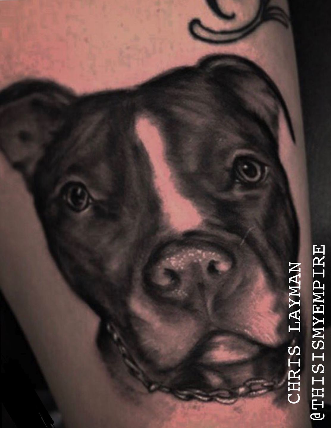 D264d7de-67a1-48ad-8592-bdc17ba8f135