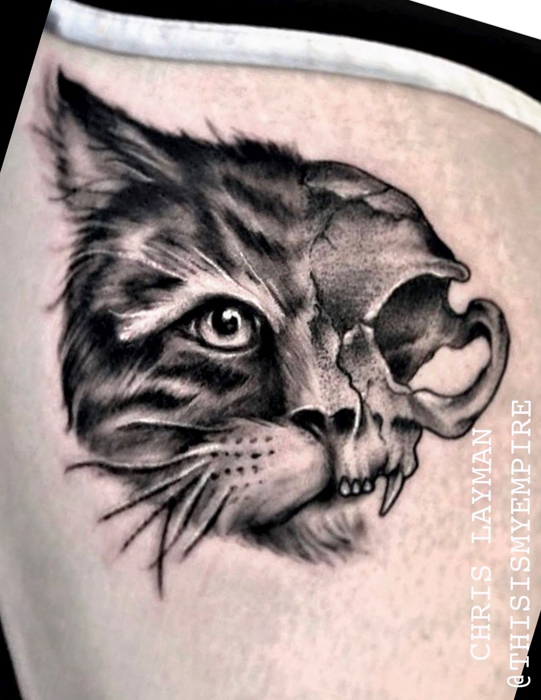 36512fc2-884a-495a-9d3f-e3d96e0fd558