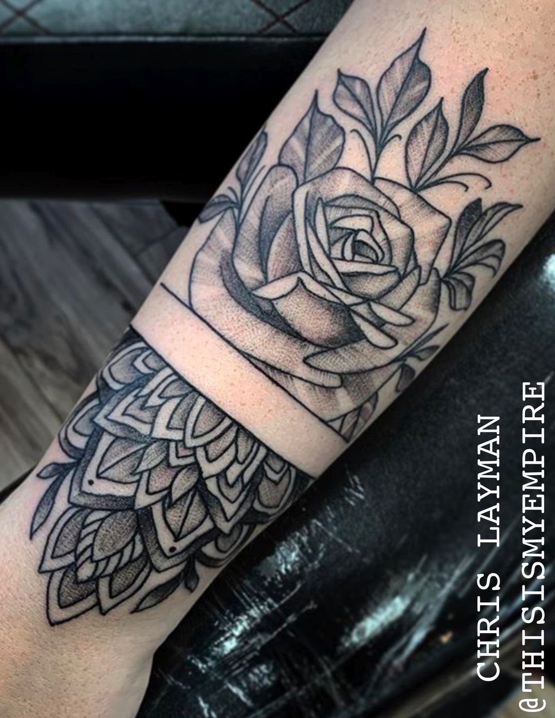 09980eff-1d81-4376-8474-56c331cfe88b