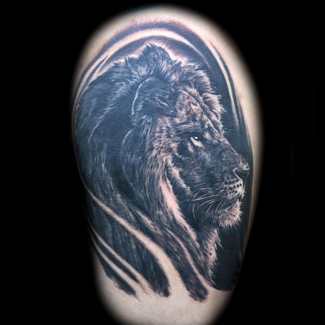 Lion-tattoo