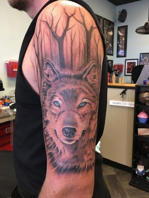 992489bd-36de-4638-a52f-dfa30e1c48bb