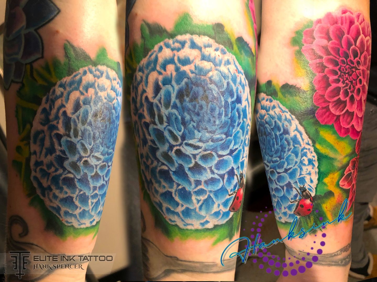 8393ef43-6132-4494-a760-6d58164f85d6