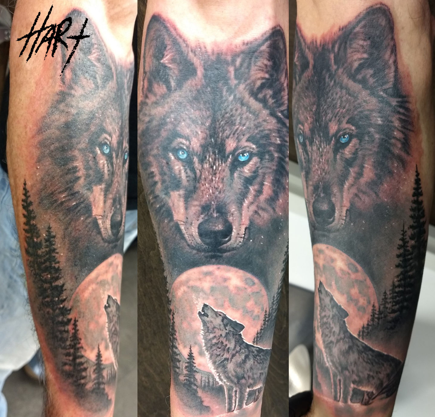 Wolves