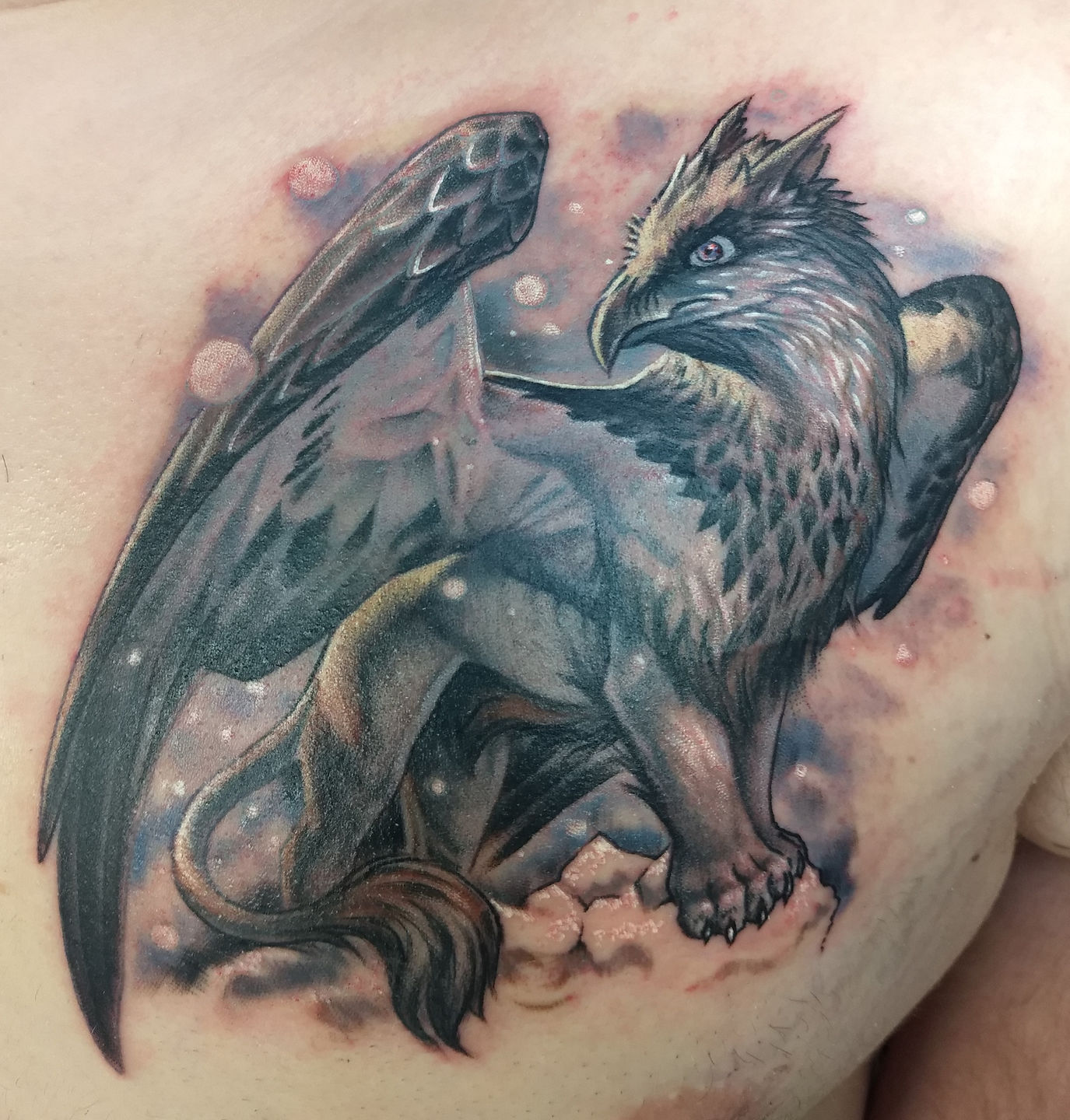 Griffin