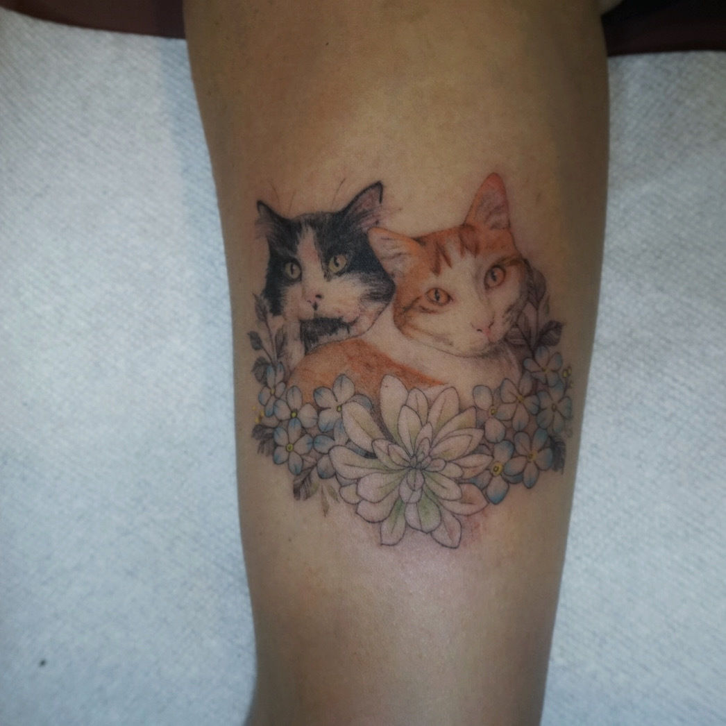 26ab6d77-65b3-4496-9c41-c47c28020bfb