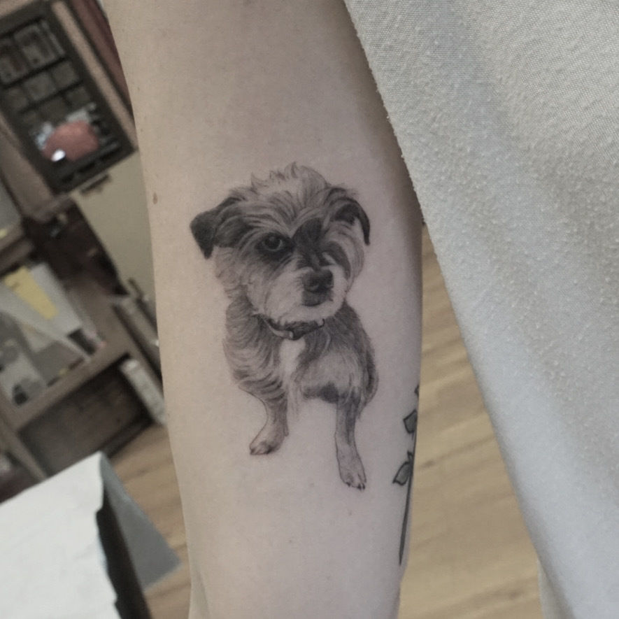 22cc326f-0fda-426b-aa9b-acbd5b73d6a4