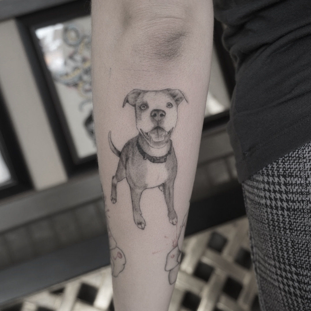 8a76e594-55aa-448c-bc20-50f603f9412d