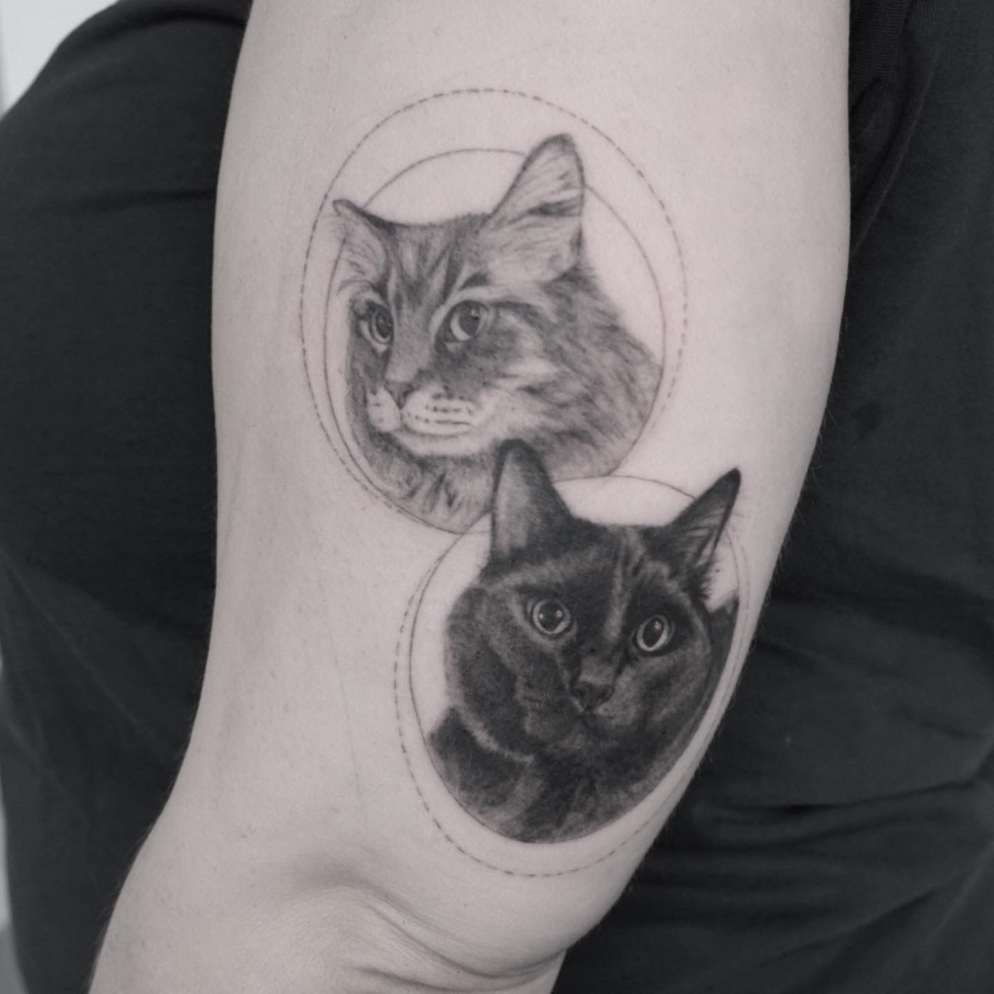 225f6c5f-4f02-4fcb-8c86-febde7f892fc