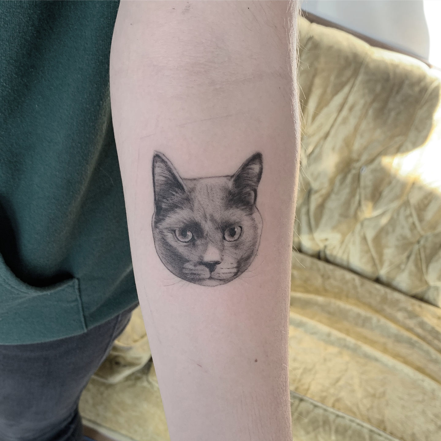 5be970ae-1108-4f08-8e70-1399e51a2832