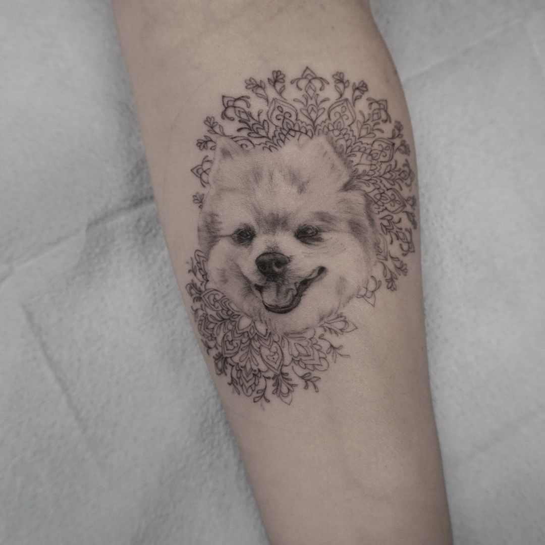 52f73bda-9422-41c3-8140-f5cd1037f6d8