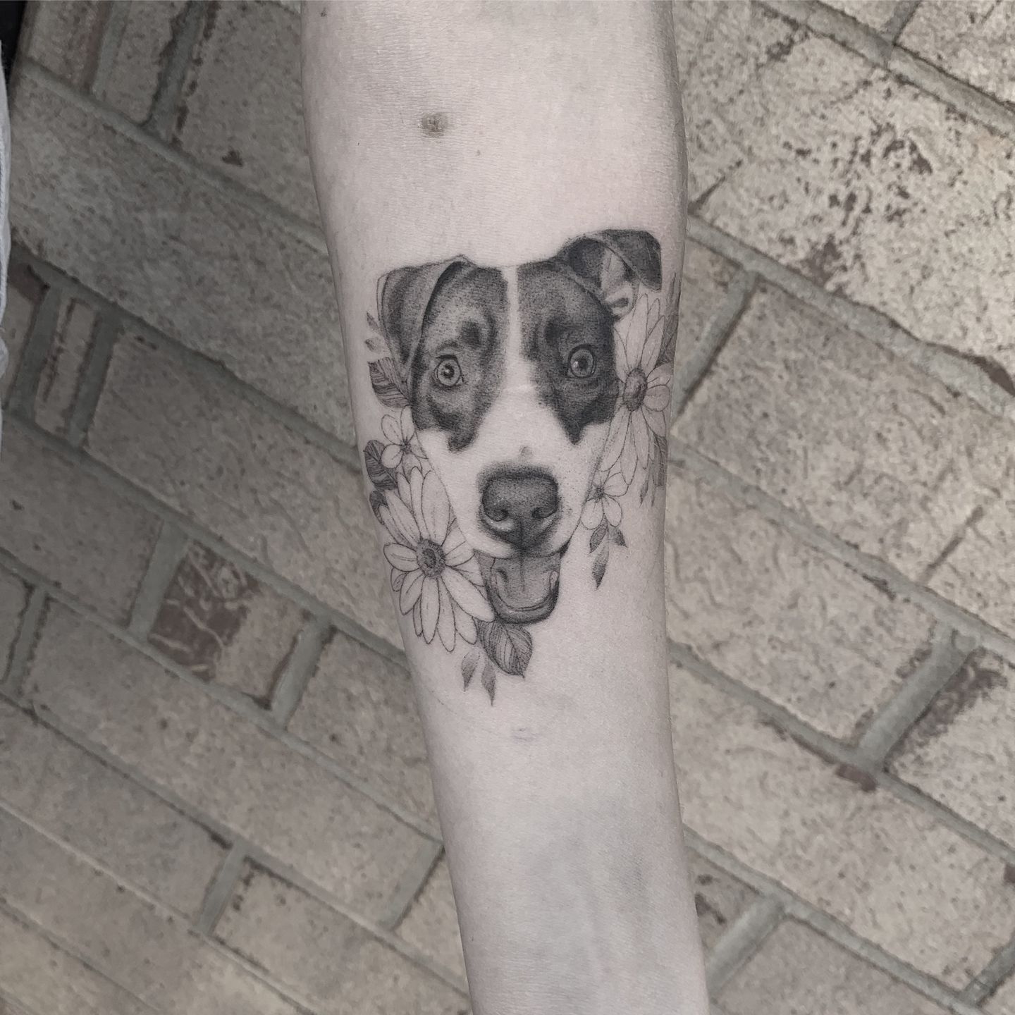 7b57e0c1-d071-4089-bf6c-e08d083a4cf0