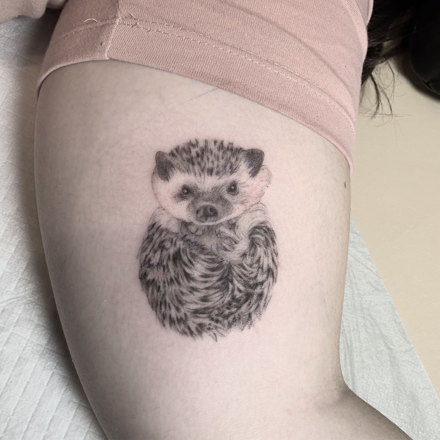 Ccd58438-7f5b-4472-8a50-40cf898023ab