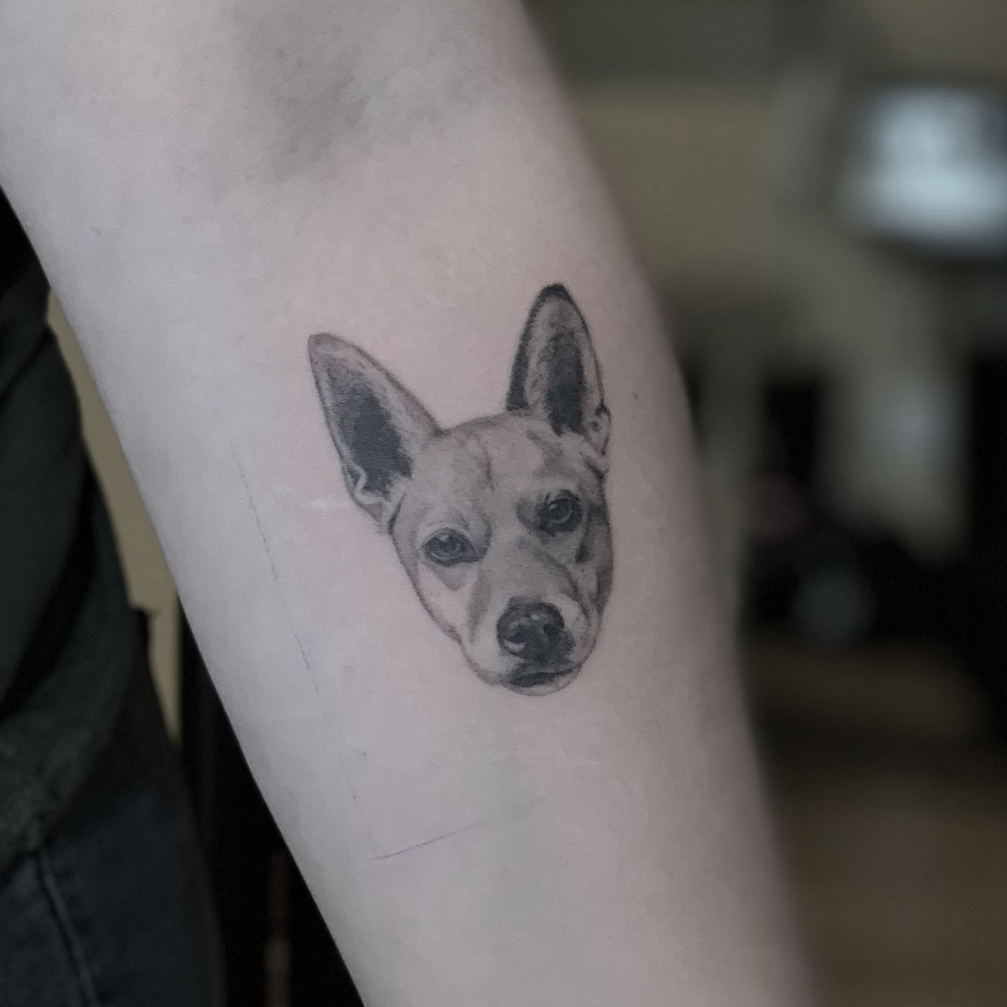 1fb9a18e-a88d-4171-ae11-6d995e540118